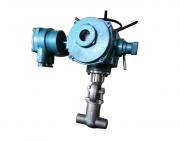 鍛鋼截止閥和鍛鋼閘閥有哪些區別？